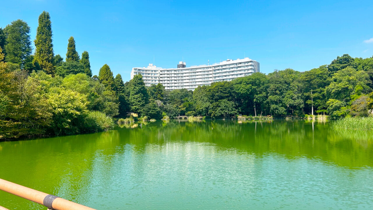 メインビジュアル画像 1